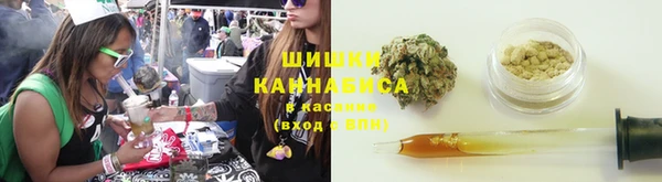 тгк Костерёво