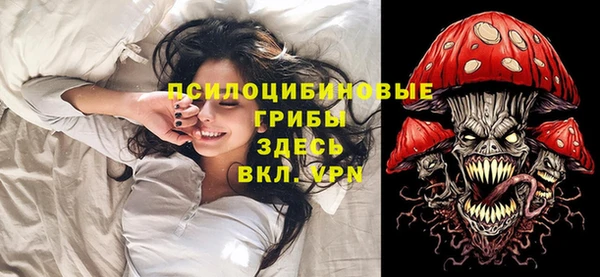 тгк Костерёво