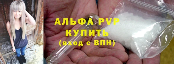 прущие грибы Кодинск